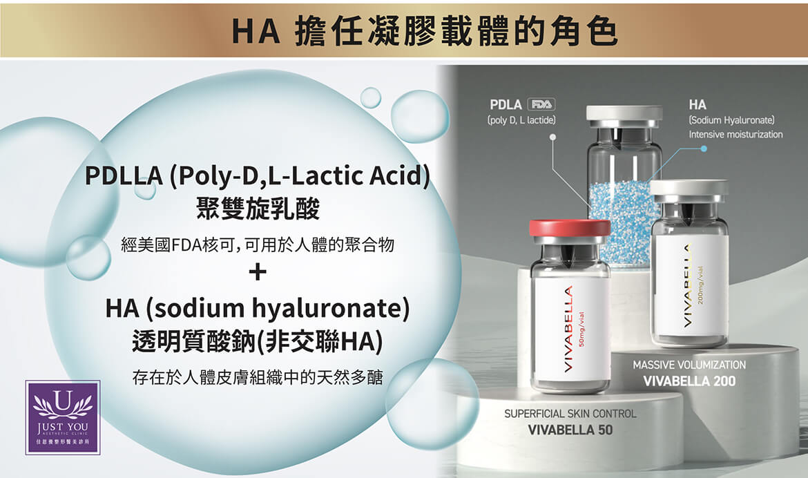 玻尿酸（Hyaluronic acid）與薇貝拉的結合關係