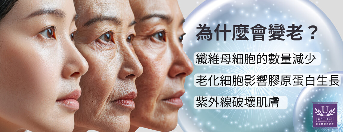 纤维母细胞的老化机制 1.数量减少与功能衰退 2.「老化细胞」的影响 3.紫外线会直接破坏胶原蛋白结构、伤害纤维母细胞DNA