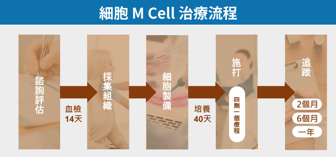 自体纤维母细胞M Cell治疗方式与流程：1.医师咨询与检验 2.耳后皮肤采集 3.细胞培养与质量控管 4.分次注射治疗 5.追踪与成效观察