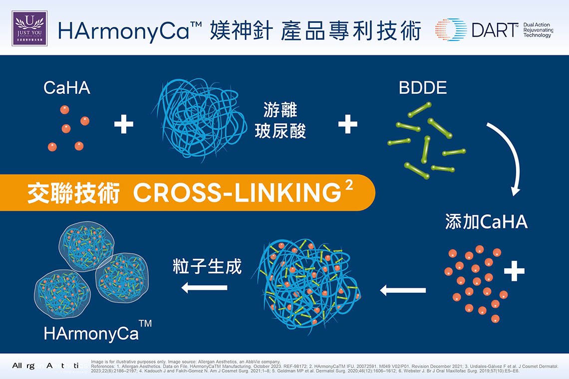 HArmonyCa™ 媄神針採用原廠專利 DART™(Dual Action Rejuvenating Technology)技術,透過特殊製程將玻尿酸 HA 與鈣羥磷灰石微球 CaHA 穩定均勻地結合於同一針劑中。