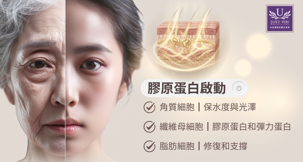 逆時針的價值在於它的生物重塑(Bio-remodelling)能力。